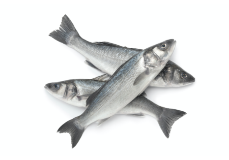 Agromey Sea Bass