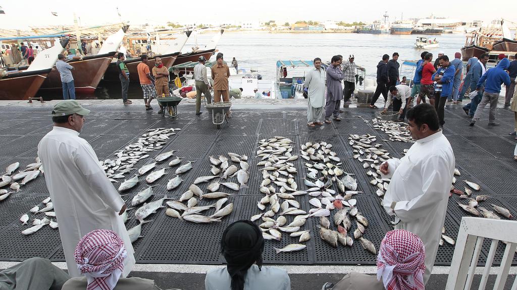 Ajman Fish Market - Go-Lokal